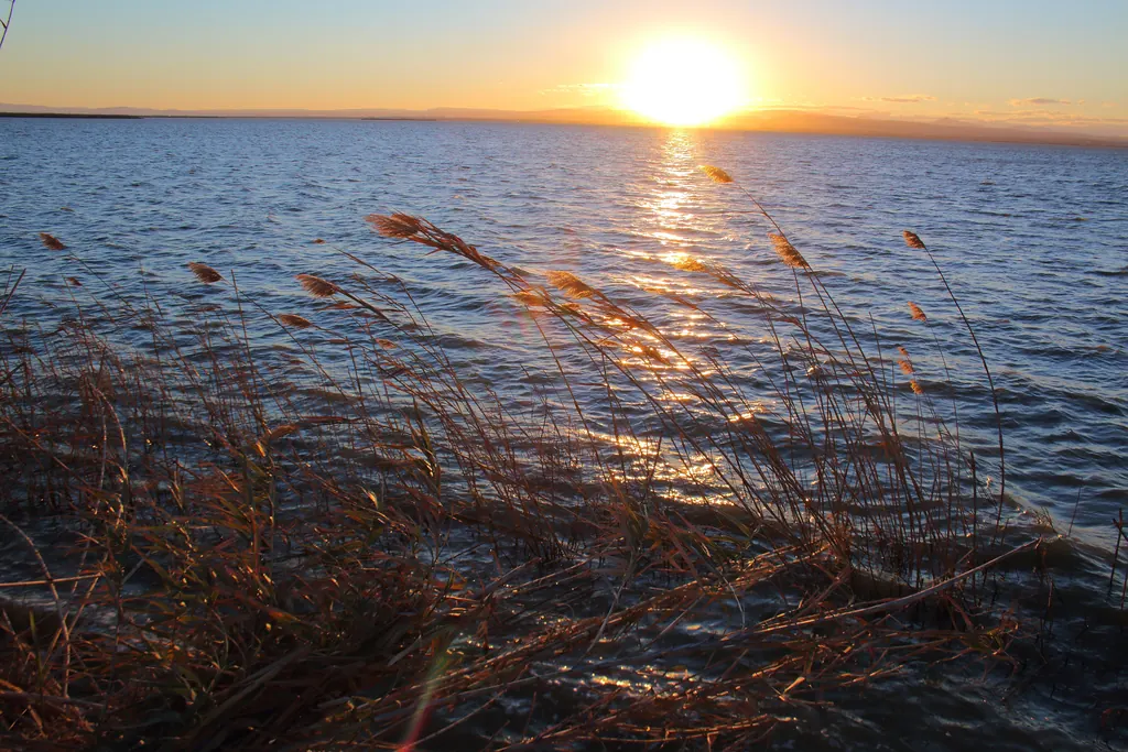 Golden sunset over the Albufera lagoon in Valencia