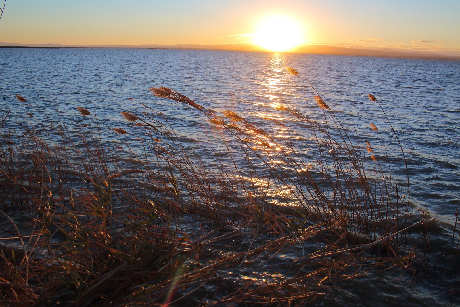 Atardecer dorado sobre la Albufera de Valencia